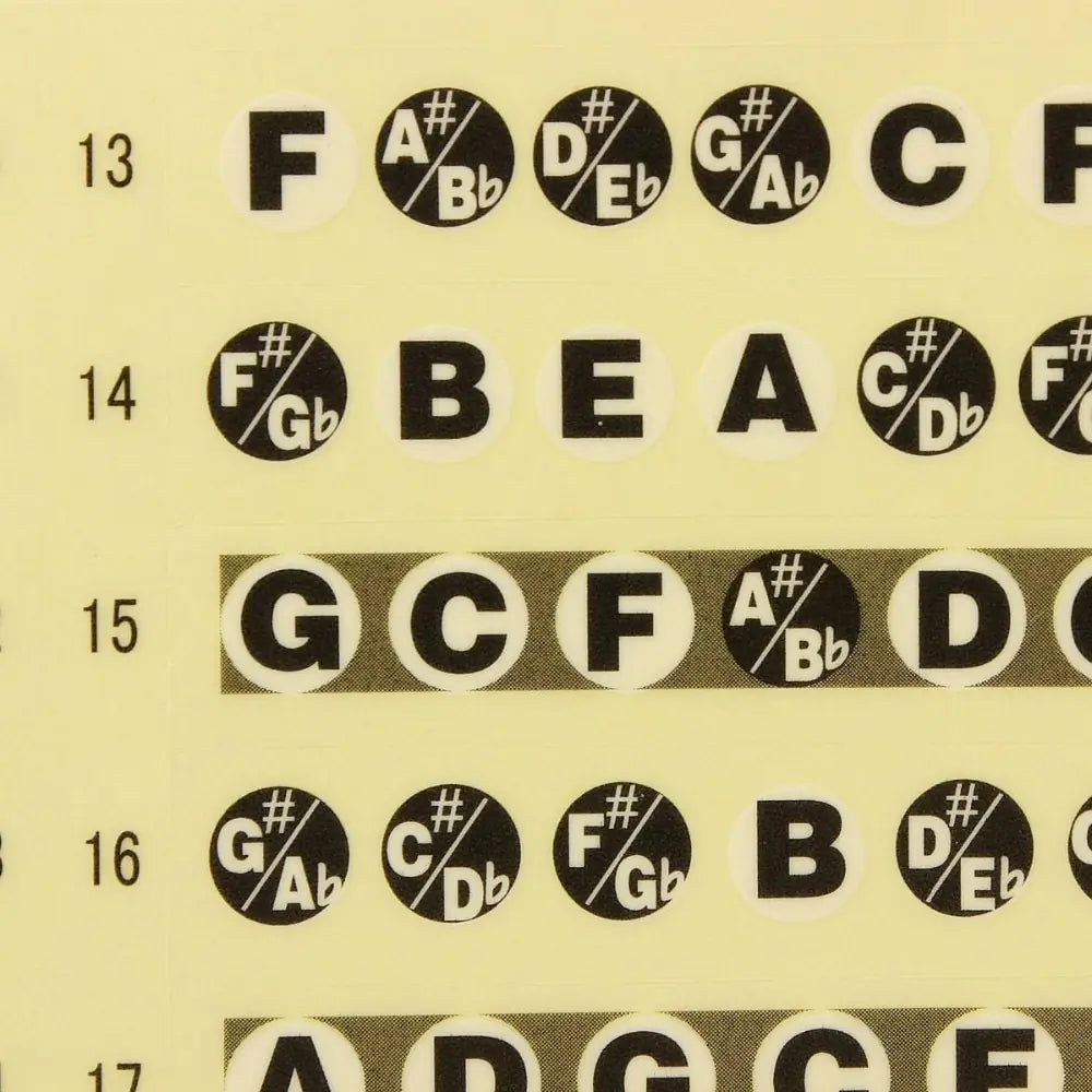 Guitar Scale Name Stickers for Self-Learning Beginners
